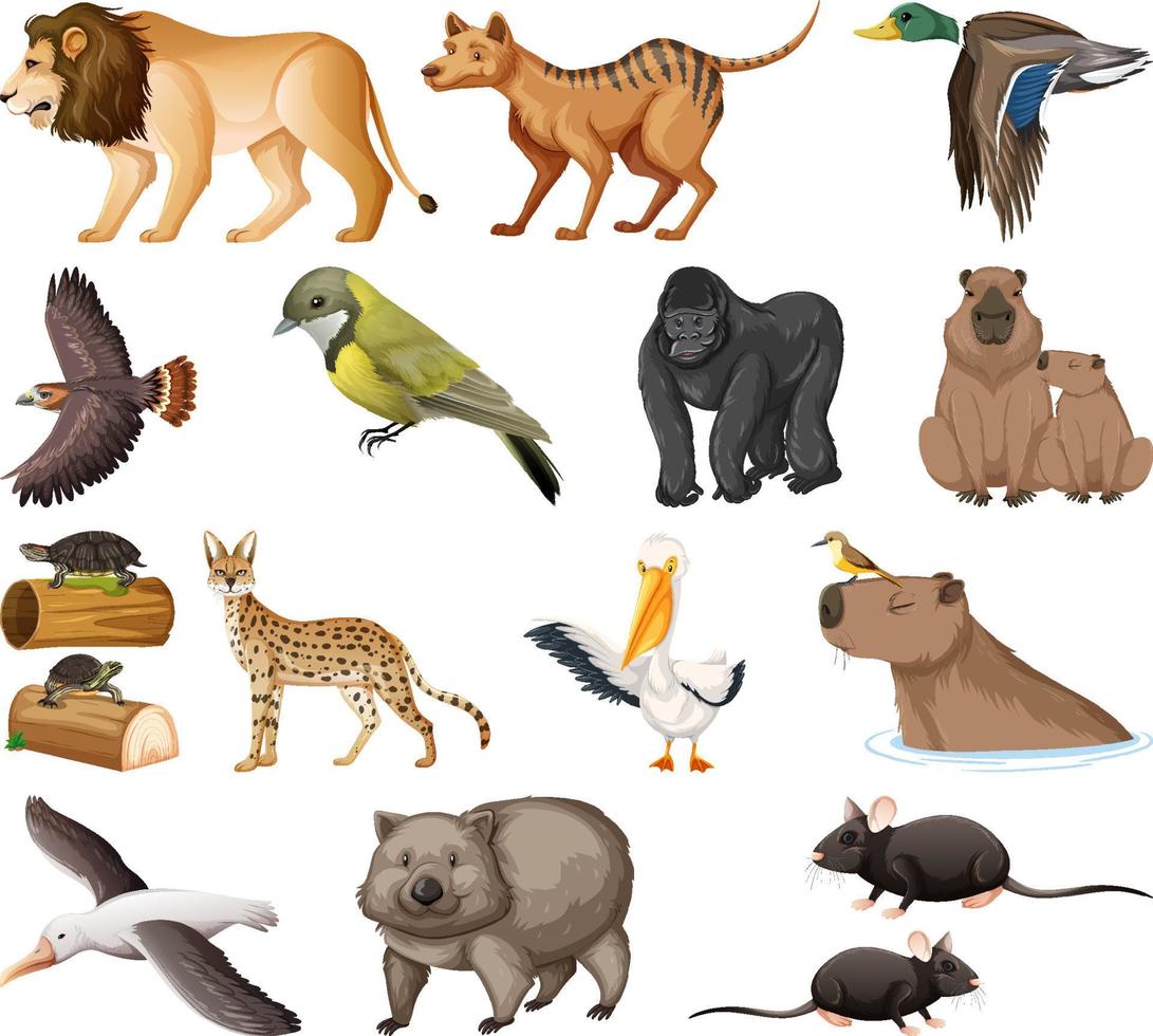 colección de diferentes tipos de animales vector