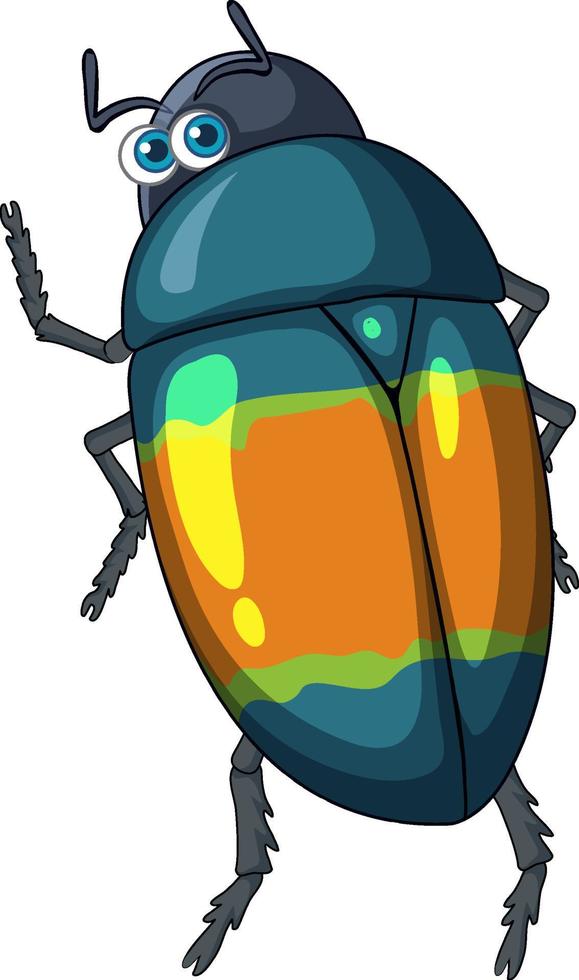 A beetle cartoon character isolated vector