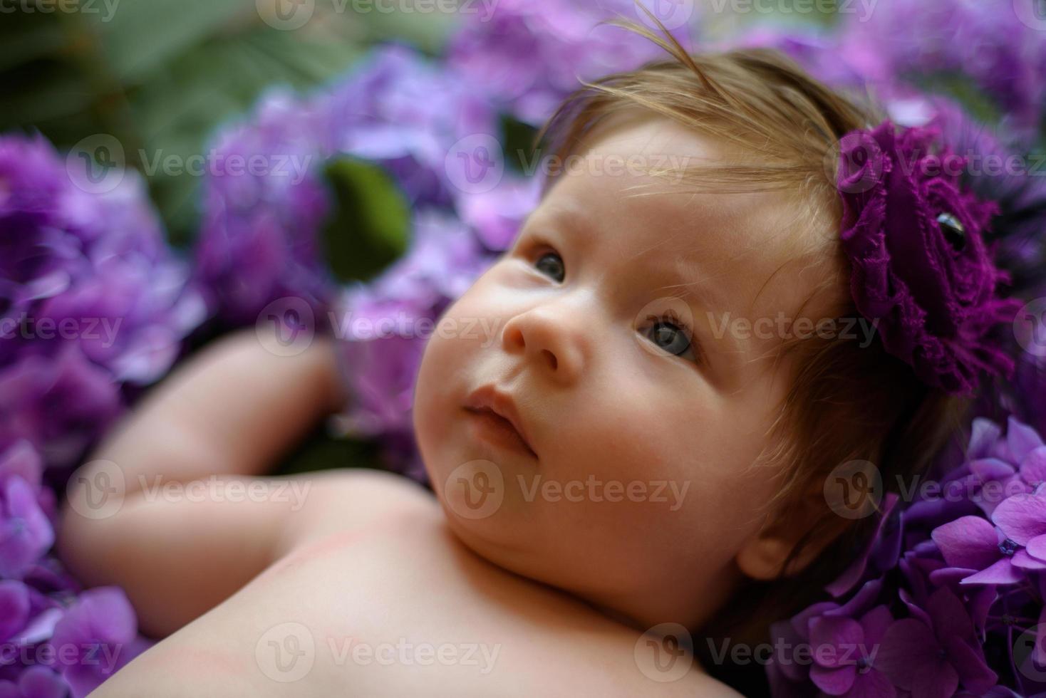 retrato de una niña linda. el bebé yace en los colores de la hortensia morada foto