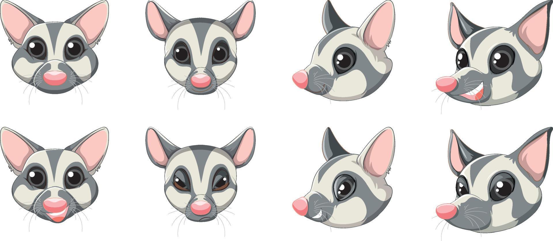 Set of cute sugar glider vector