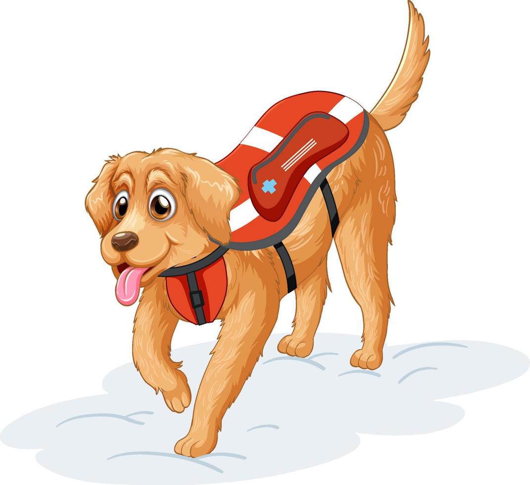 A dog in rescue uniform on white background vector
