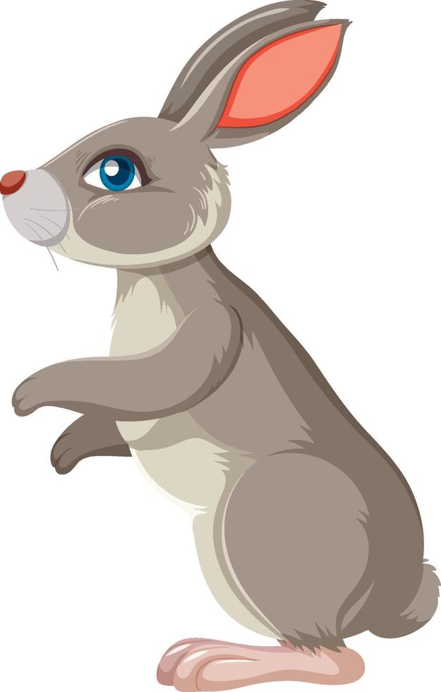 Gray bunny standing sideway vector