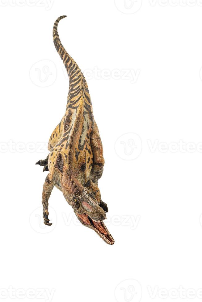 Acrocanthosaurus , Dinosaur on white background photo