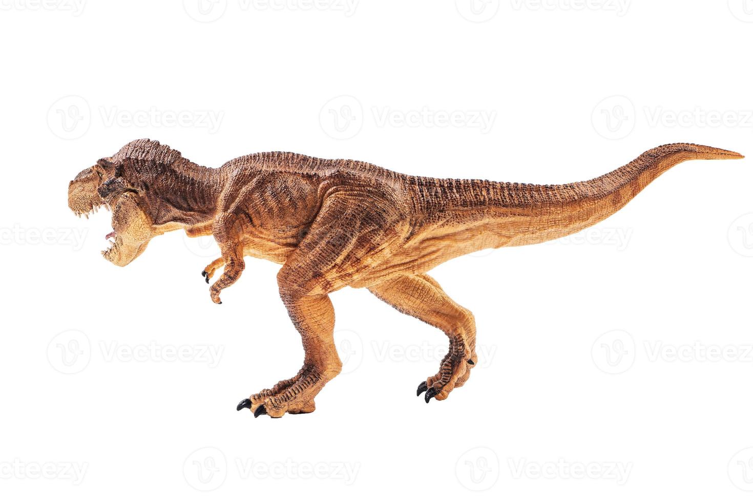 Tyrannosaurus rex  , Dinosaur on isolation background photo