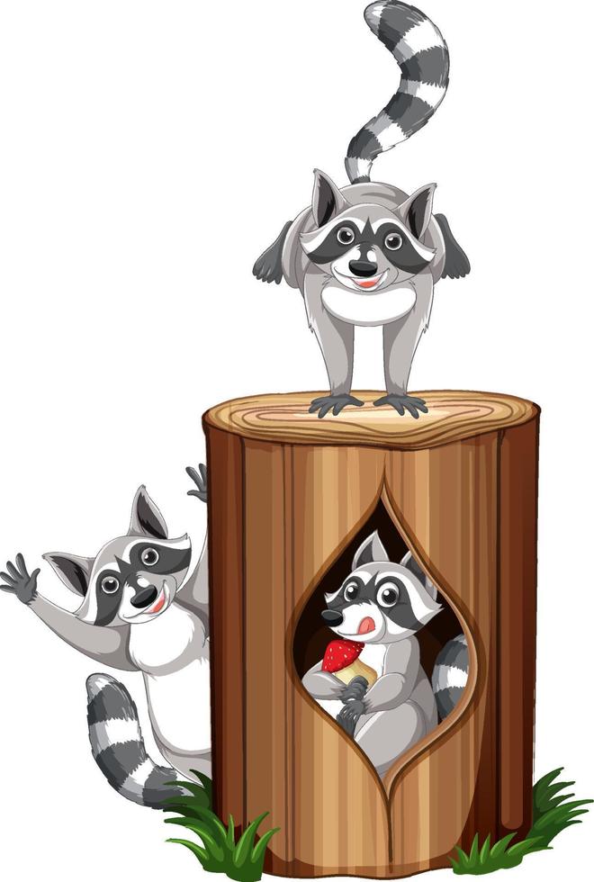 Three raccoons playing by the log vector