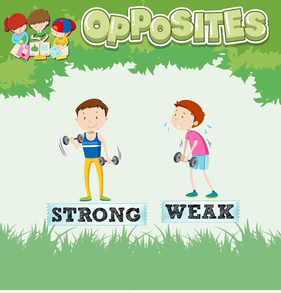 Opposite words for strong and weak vector