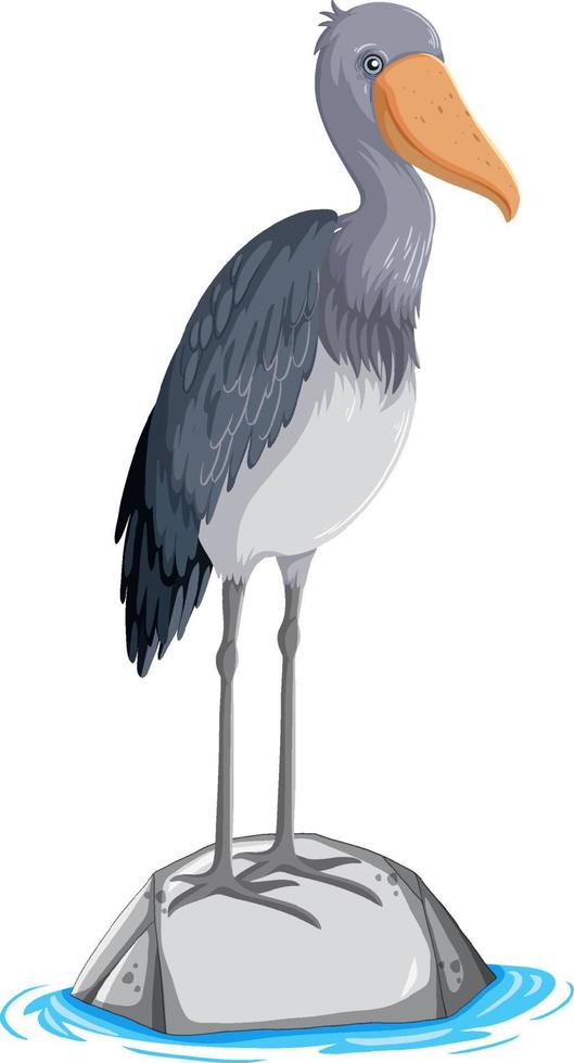 Heron bird standing on stone on white background vector