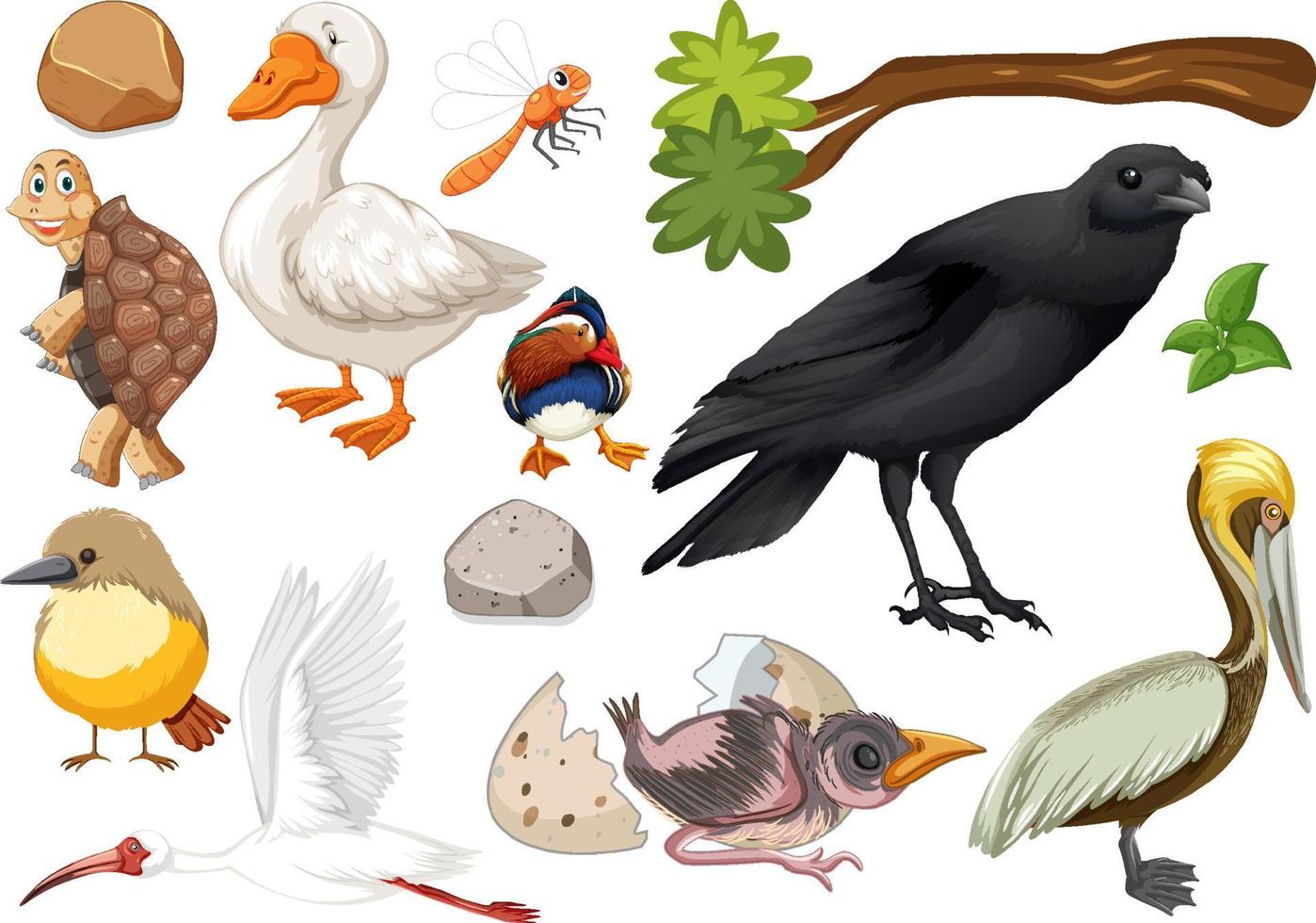 Different kinds of wild animals collection vector