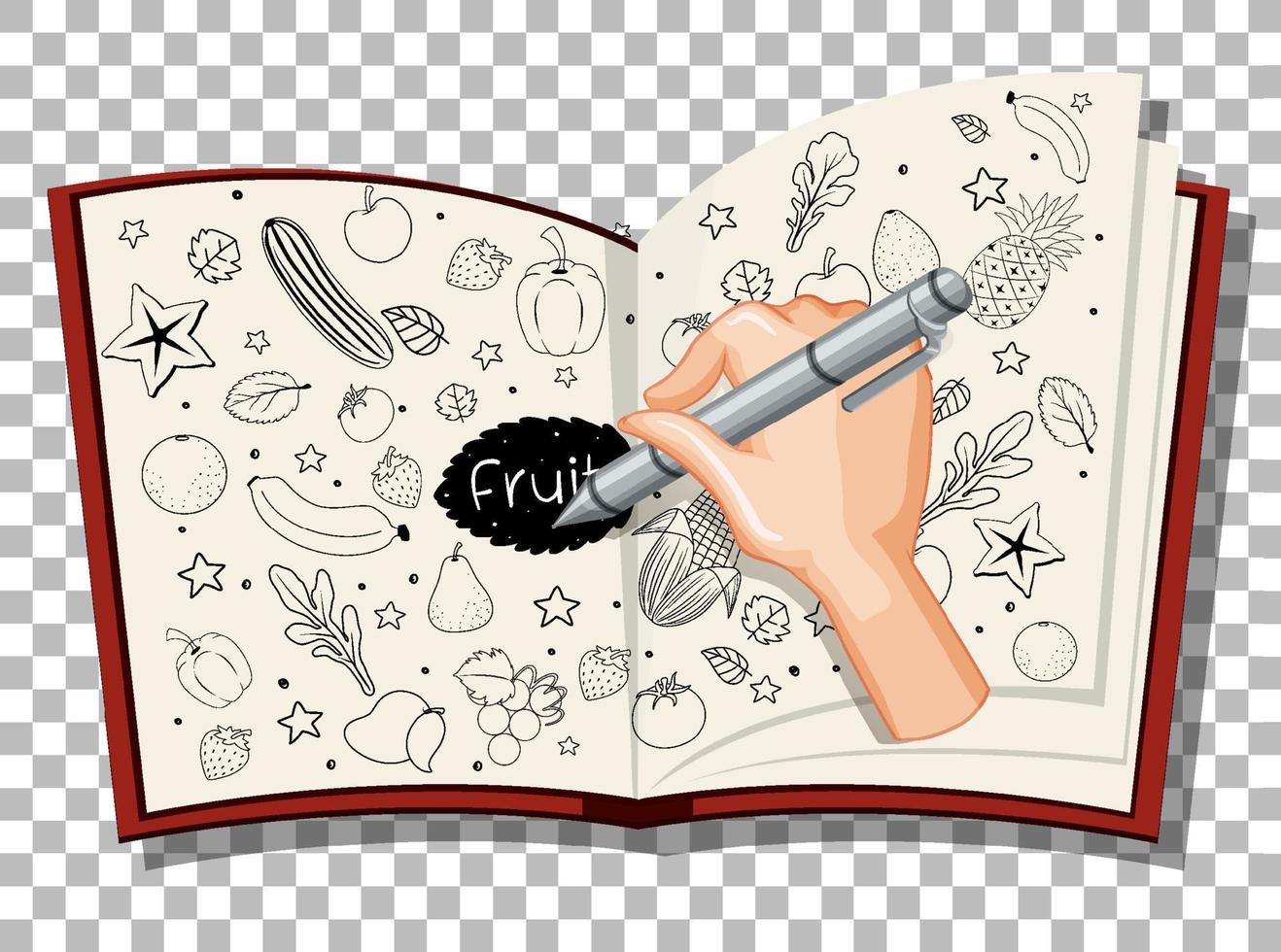 Hand drawn doodle of fruits vector