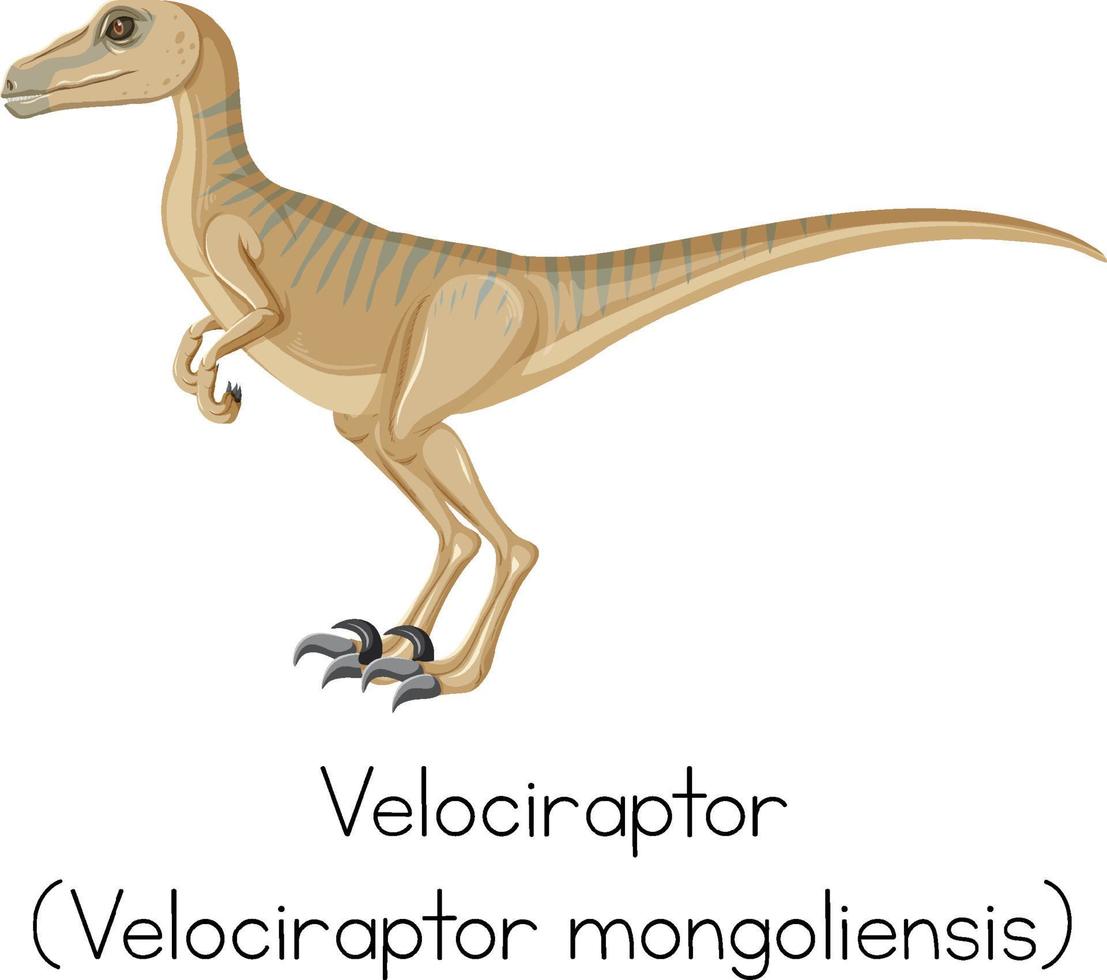 wordcard para velociraptor de pie vector