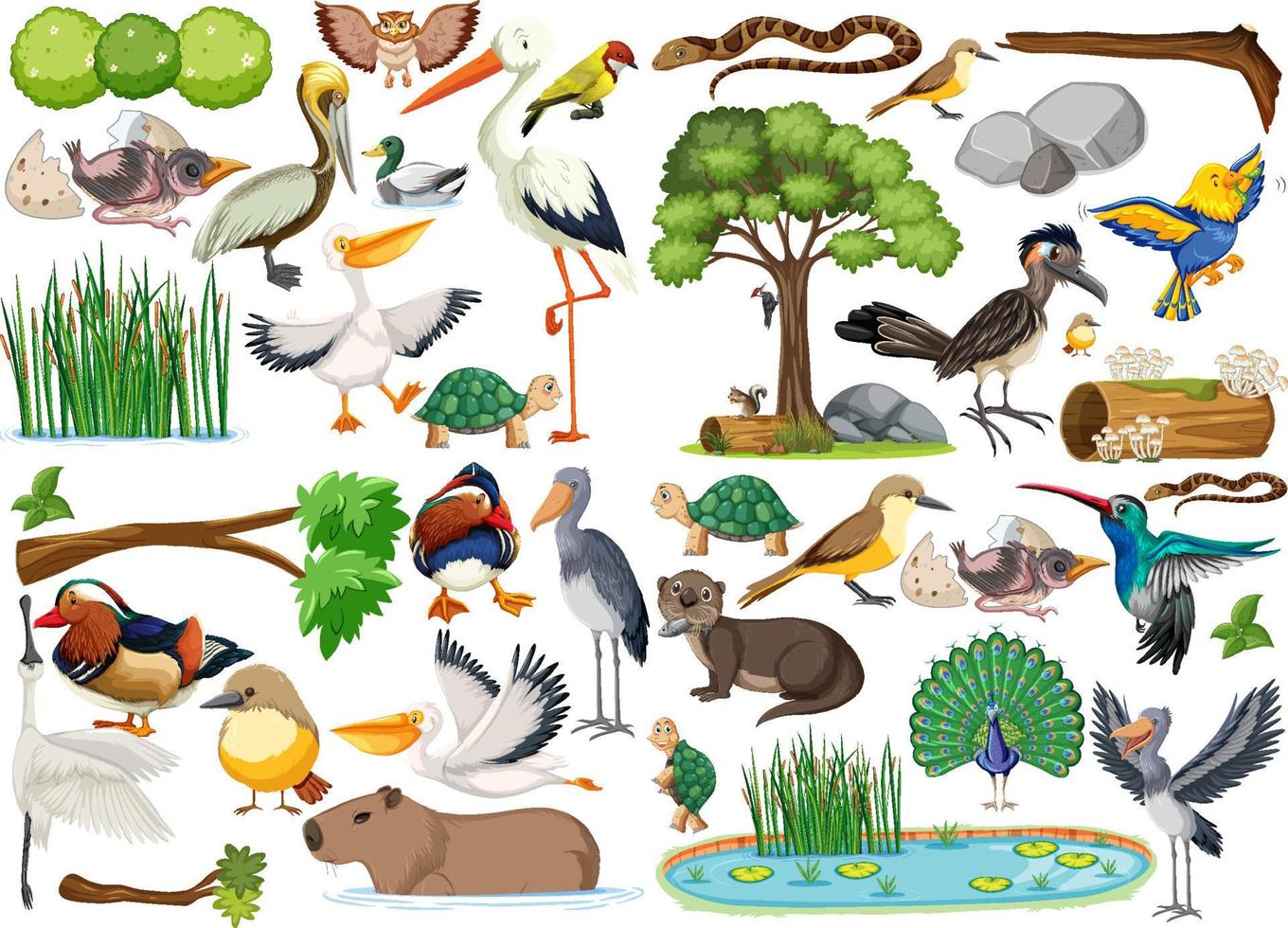 Different kinds of wild animals collection vector