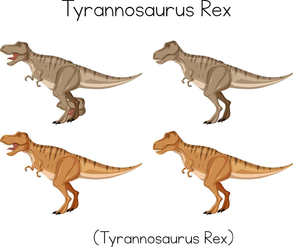 tiranosaurio rex wordcard sobre fondo blanco vector