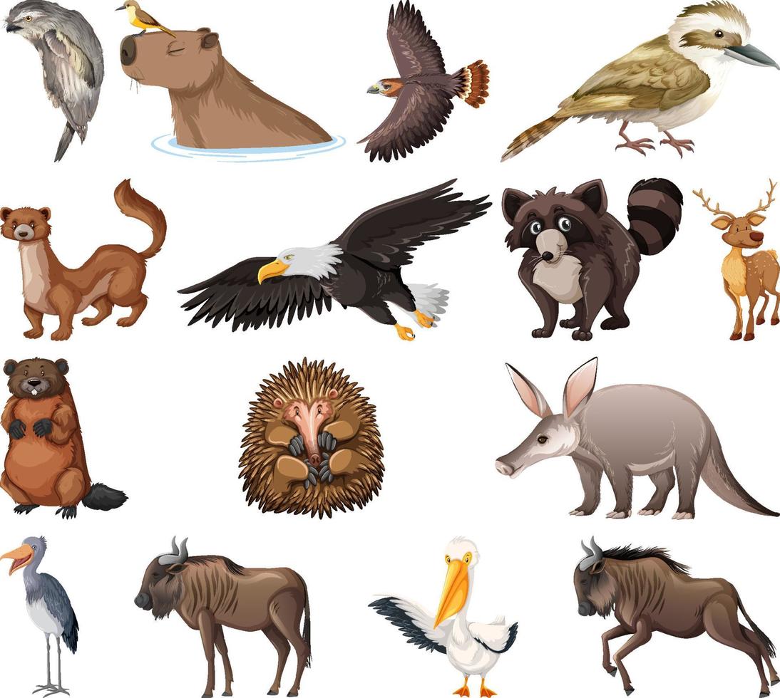 colección de diferentes tipos de animales vector