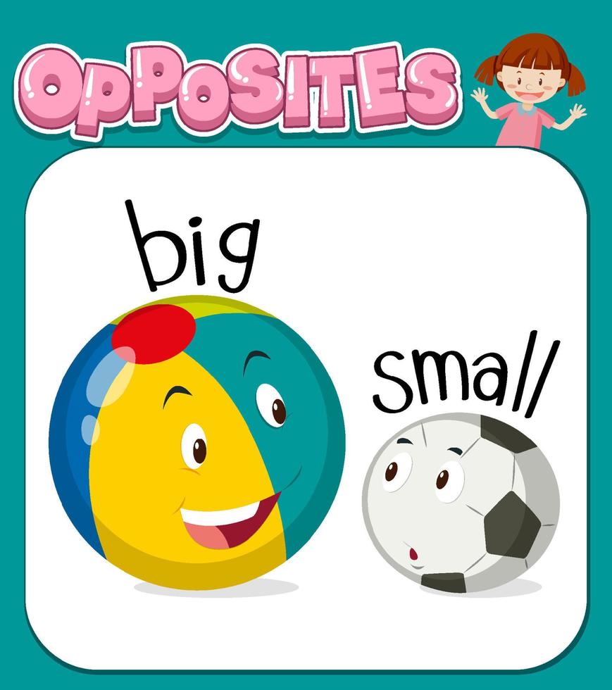 Opposite words for big and small vector