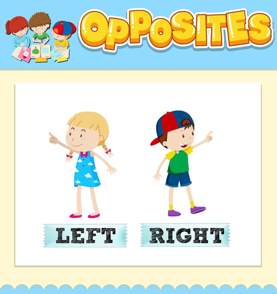 Opposite words for left and right vector