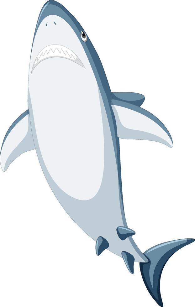 Great white shark cartoon vector