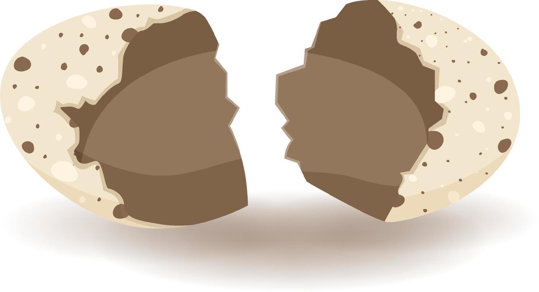 Cracking eggs on white background vector