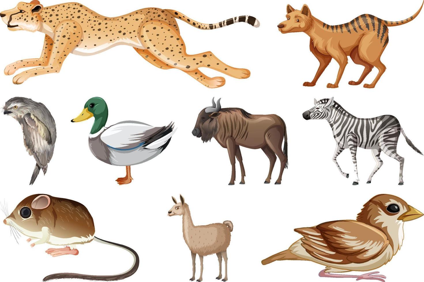 Set of different kinds of animals vector