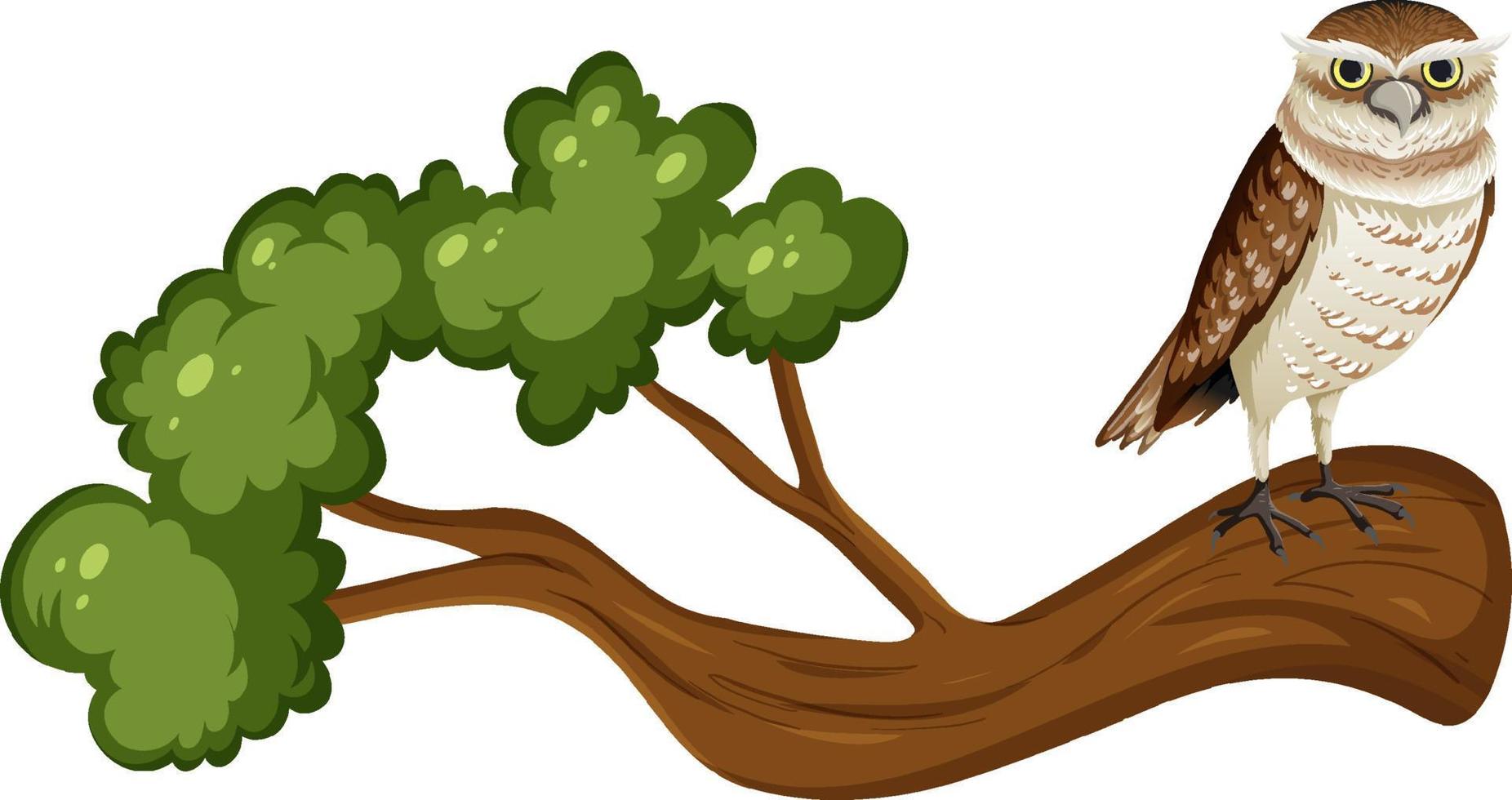 Owl standing on tree branch in cartoon style vector