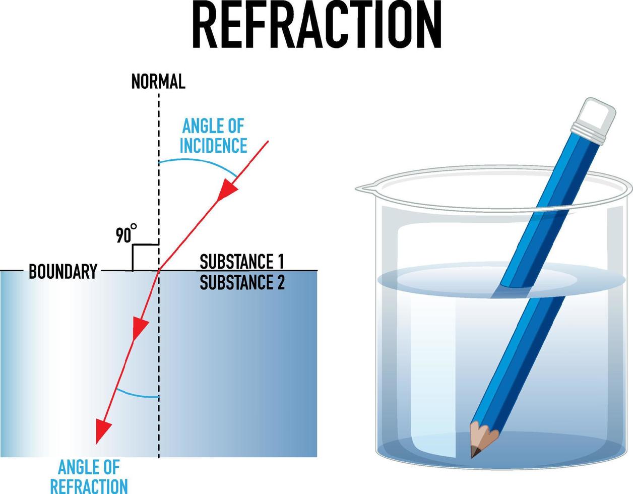 Refraction science experiment with pencil in water beaker vector