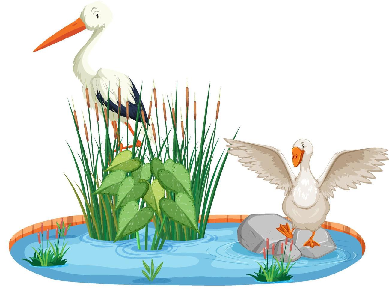 Two birds by the pond vector