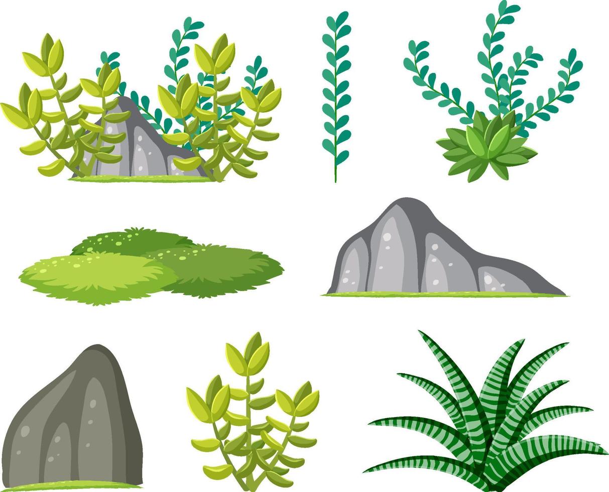 conjunto de plantas suculentas sobre fondo blanco vector