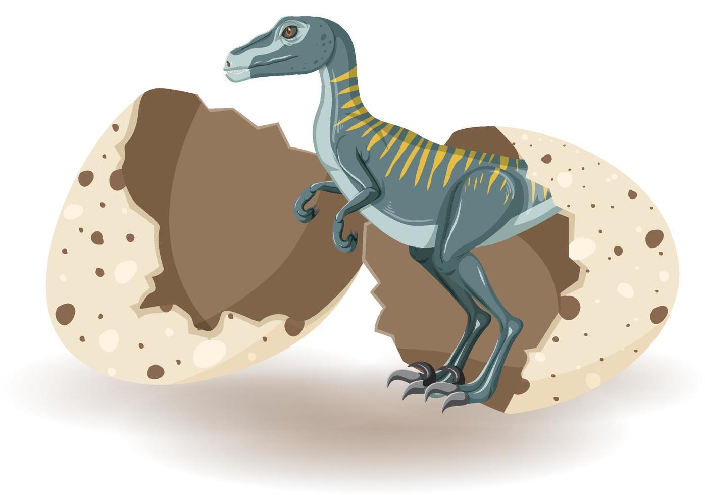 Velociraptor hatching from egg vector