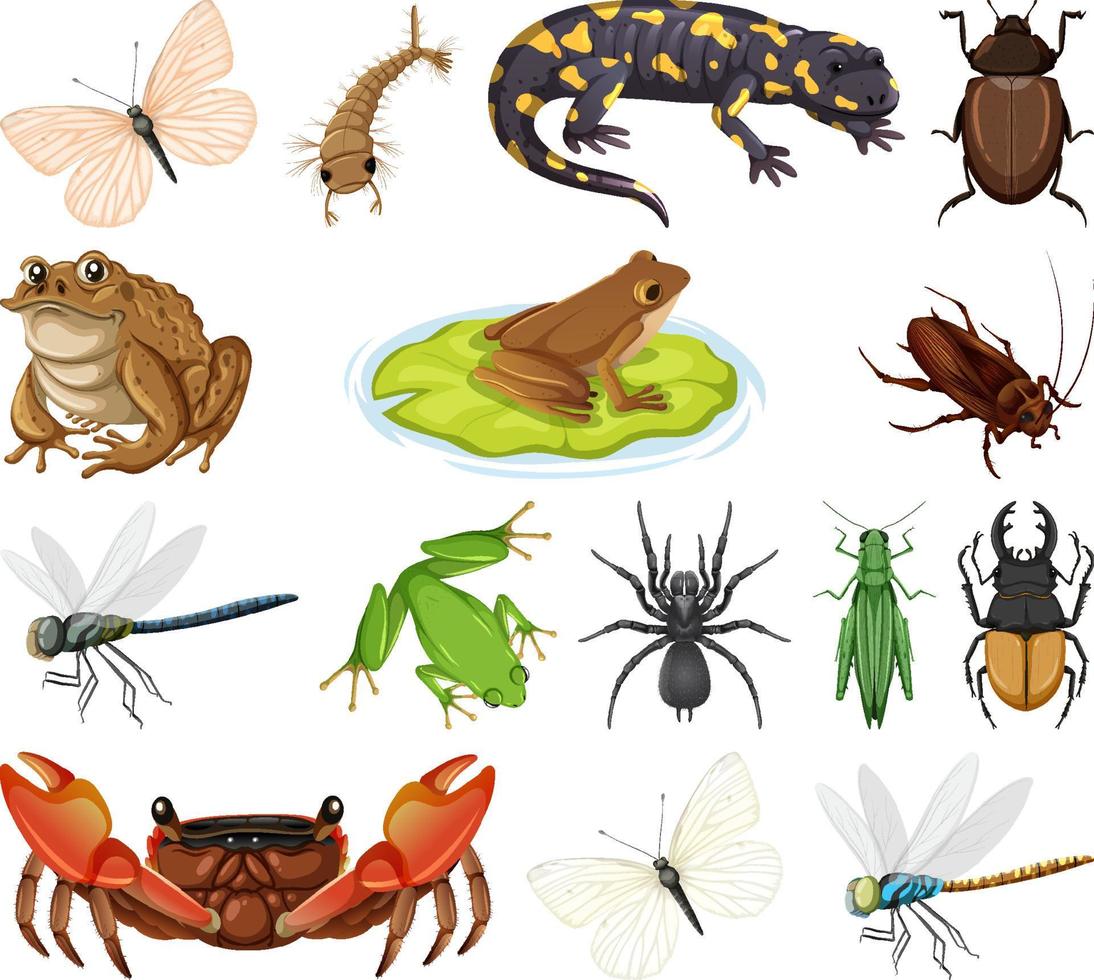 Different types of bugs and animals vector