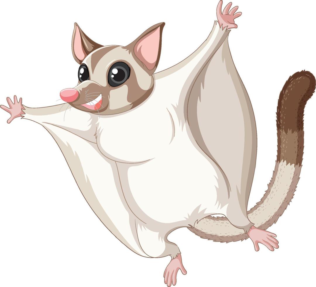 A cute cute sugar glider cartoon character vector