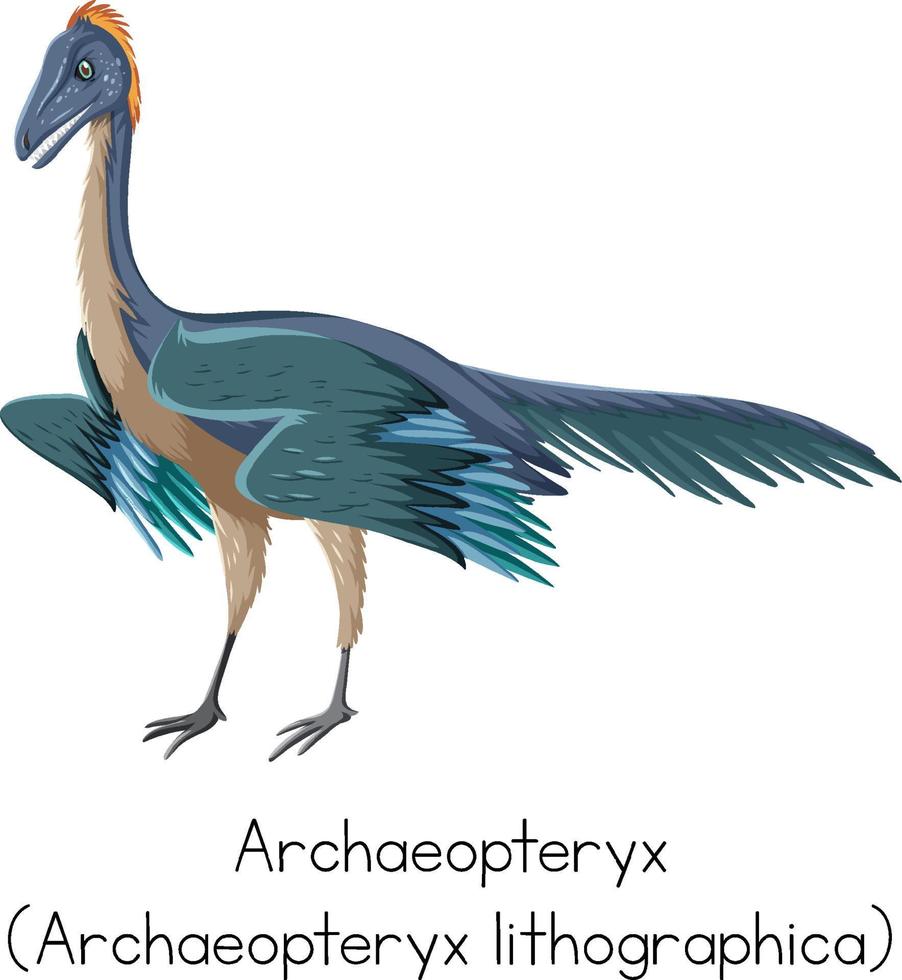 archaeopteryx con palabra sobre fondo blanco vector