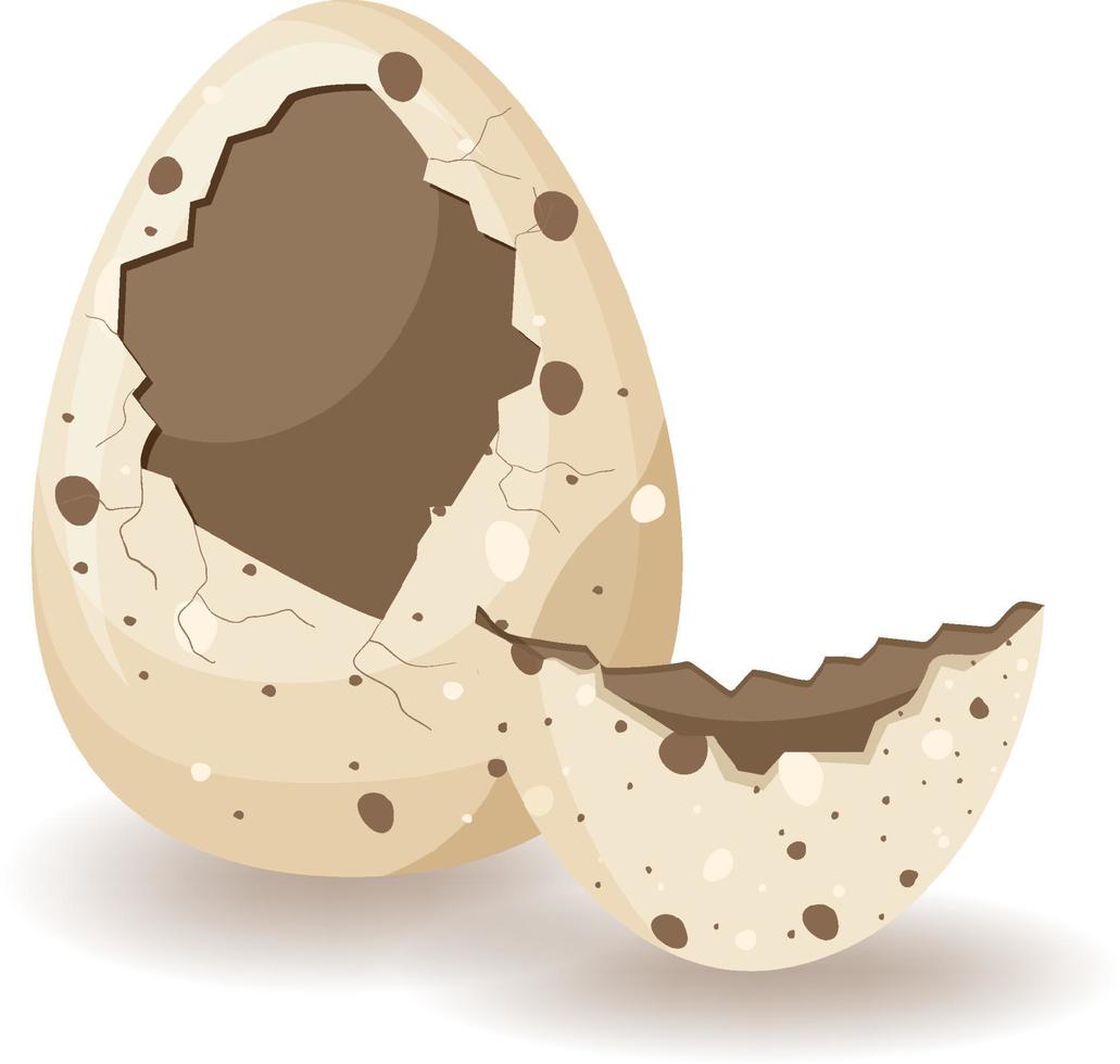Cracking eggs on white background vector