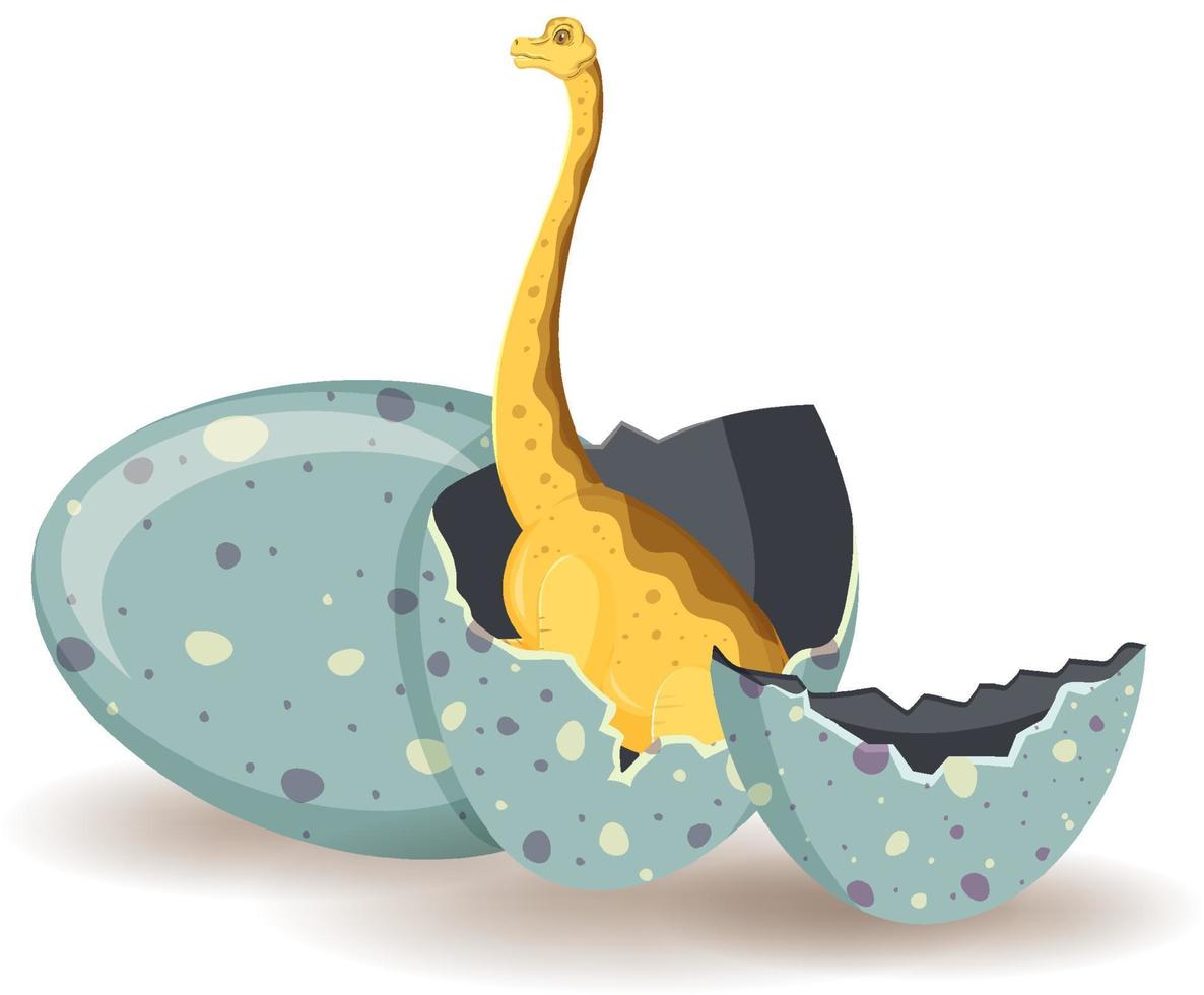 Brachiosaurus hatching from egg vector