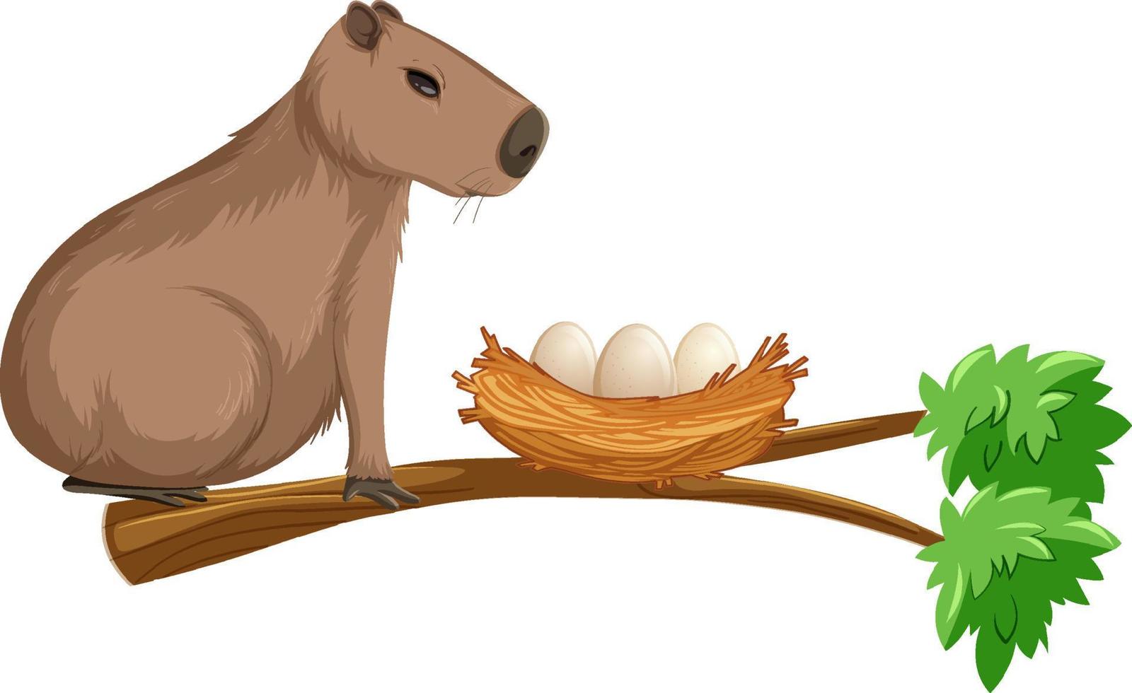 Capybara on branch with egg nest vector