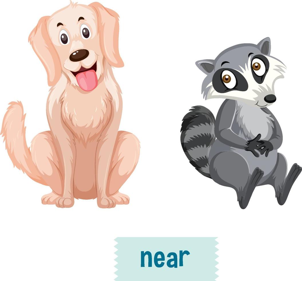 preposiciones en inglés con perro sentado cerca de mapaches vector
