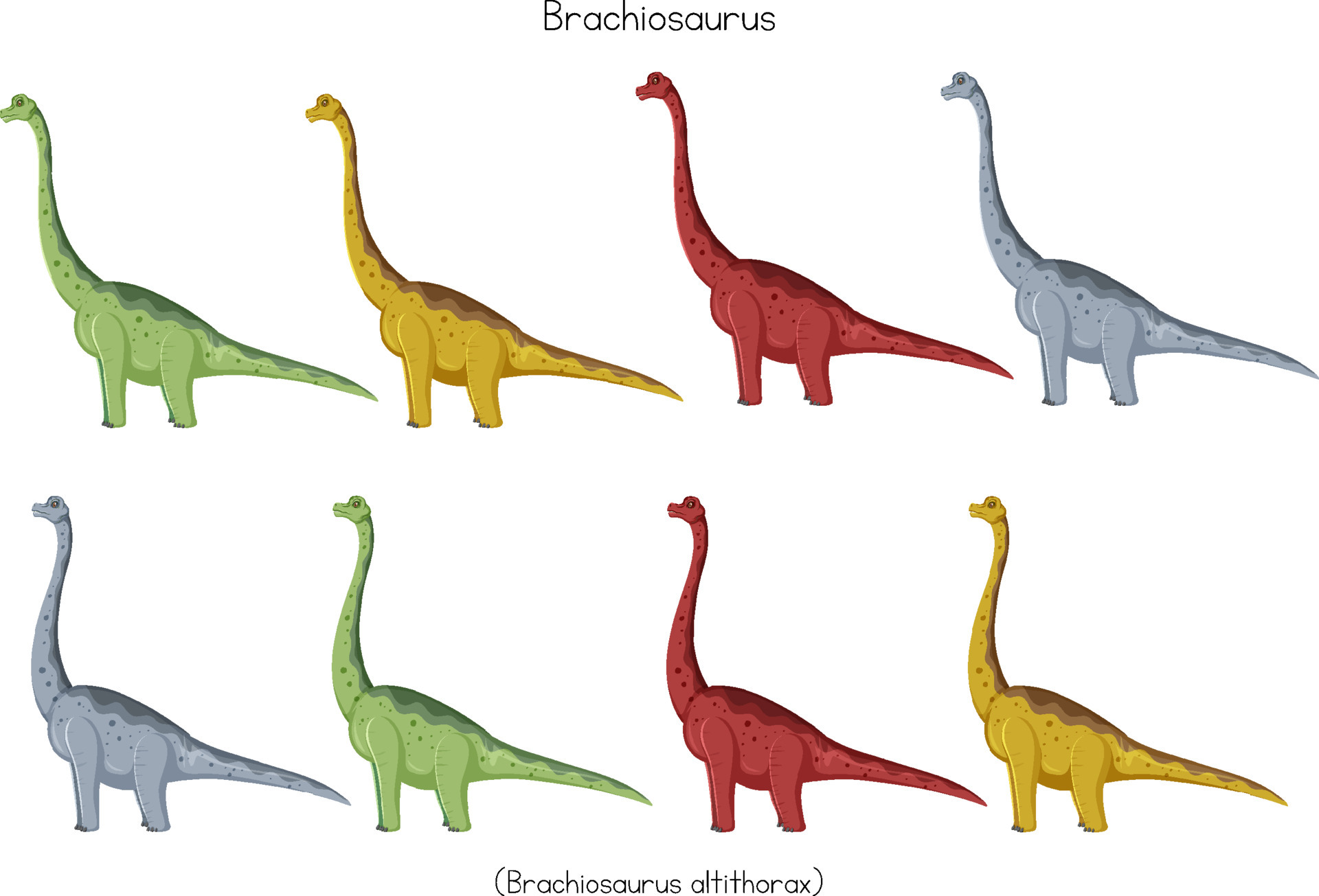 braquiosaurio en diferentes colores 6772860 Vector en Vecteezy