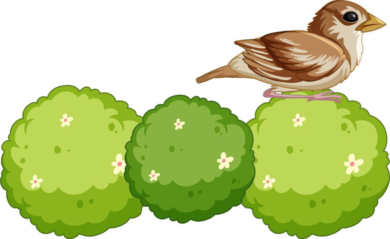 A bird on bush in cartoon style vector