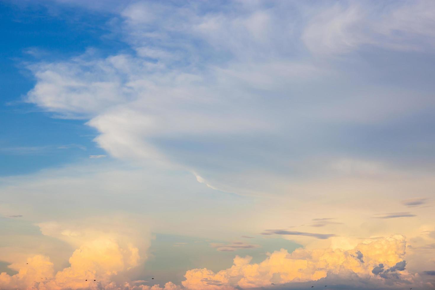 puesta de sol cielo y silueta pájaros volando van a casa foto