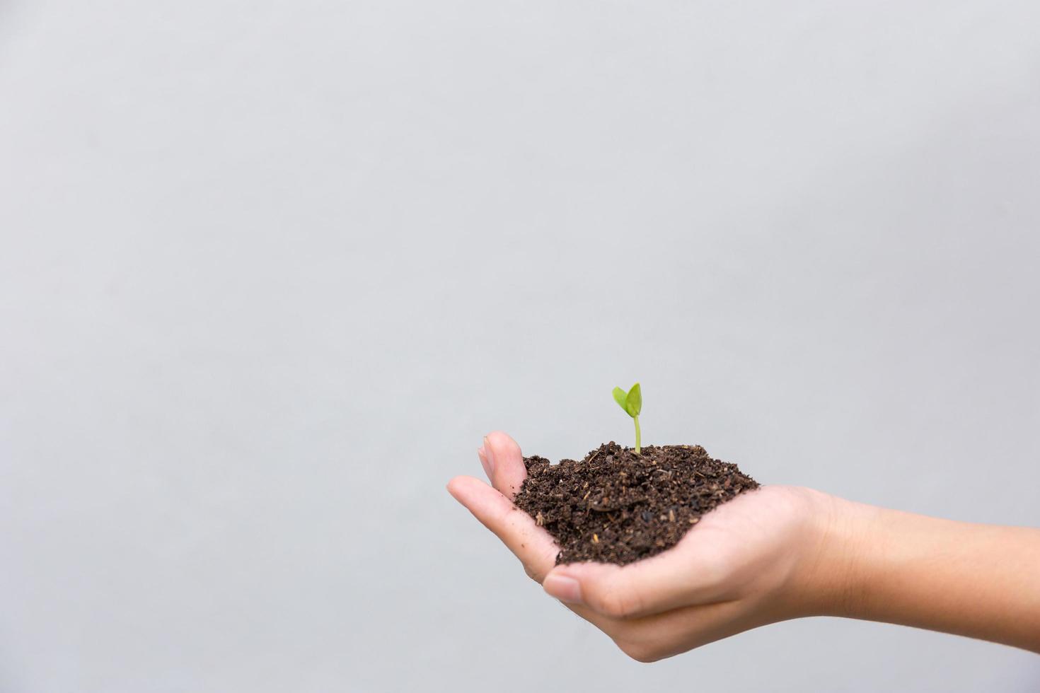 Young boy holding young plant on soil in hands with gray background. Ecology concept photo