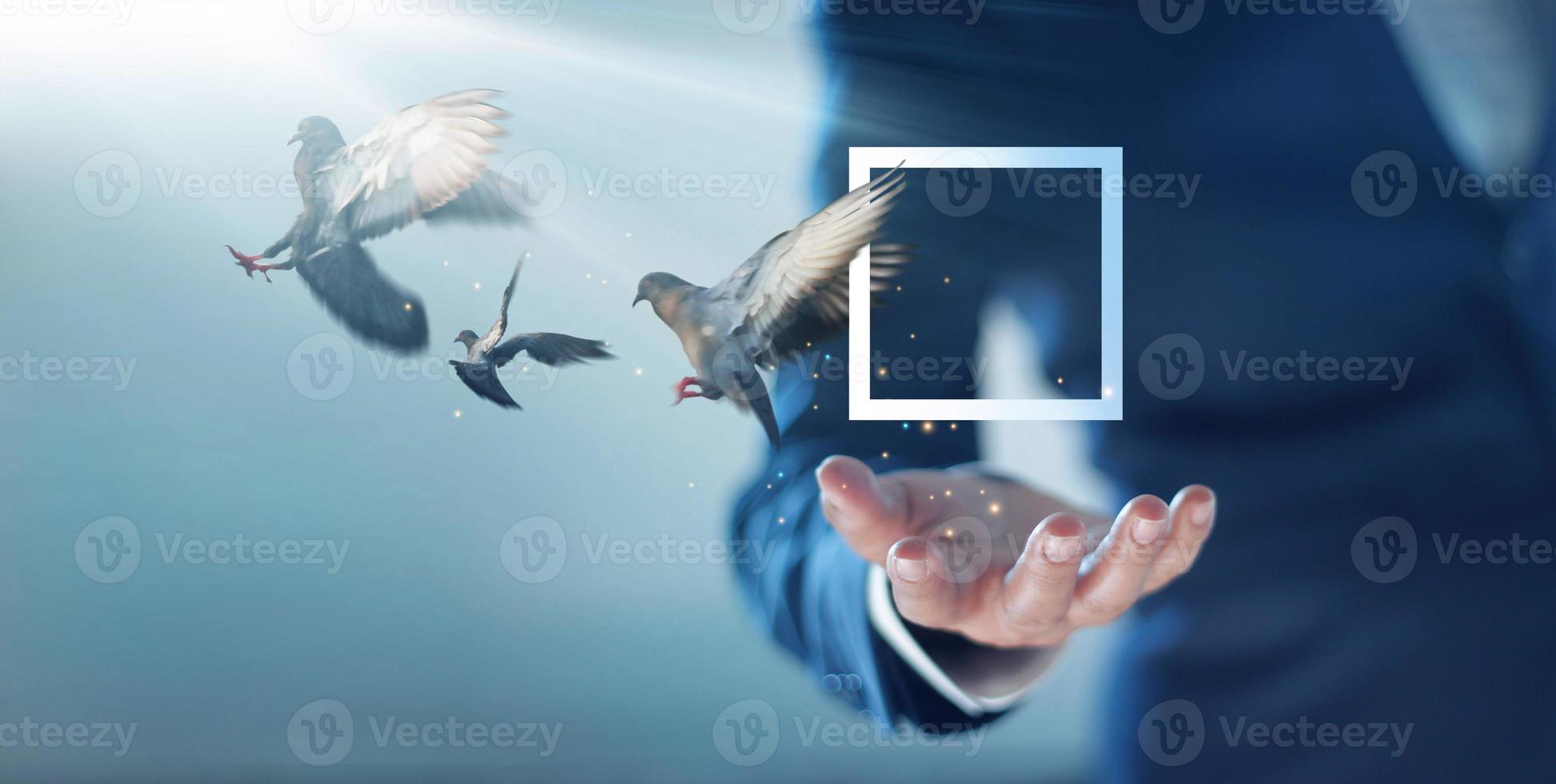 Abstract. Think outside the box concept. Businessman with free birds flying out of square box.Thinking creativity, freely that challenge save zone mindset to find business creative solution and ideas. photo
