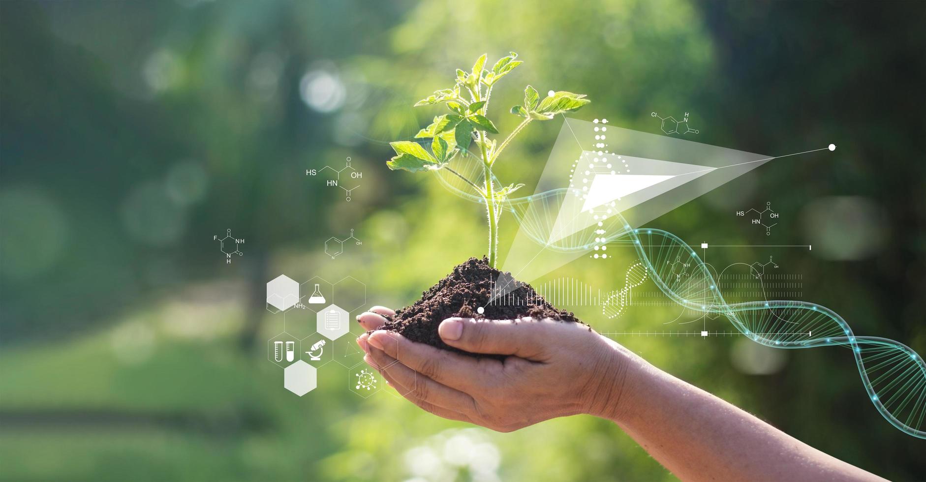 laboratorio de biología naturaleza y ciencia, plantas con estructura bioquímica y fórmula química sobre fondo verde. foto