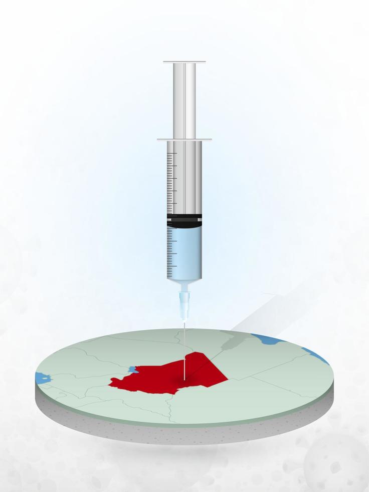 Vaccination of Chad, injection of a syringe into a map of Chad. vector