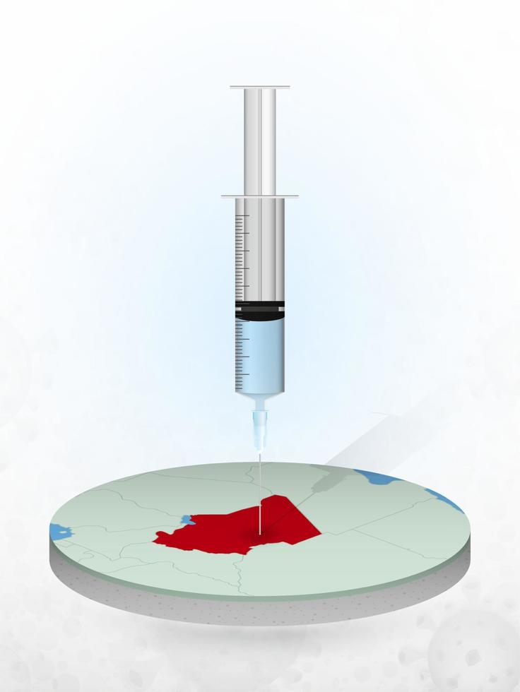 vacunación de chad, inyección de una jeringa en un mapa de chad. vector