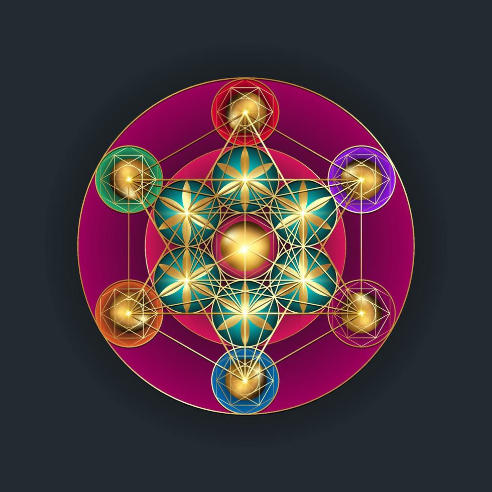 cubo de metatrón, flor de la vida. geometría sagrada de oro. icono colorido místico sólidos platónicos merkabah, dibujo geométrico abstracto, signo de círculos de cultivo. vector de elemento de logotipo gráfico aislado en negro