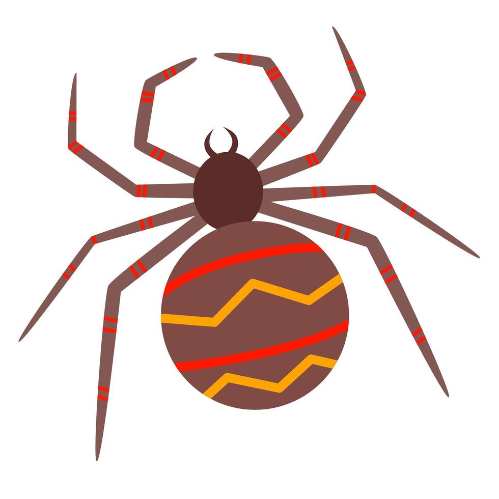 Vector illustration of venomous striped spider in a flat style