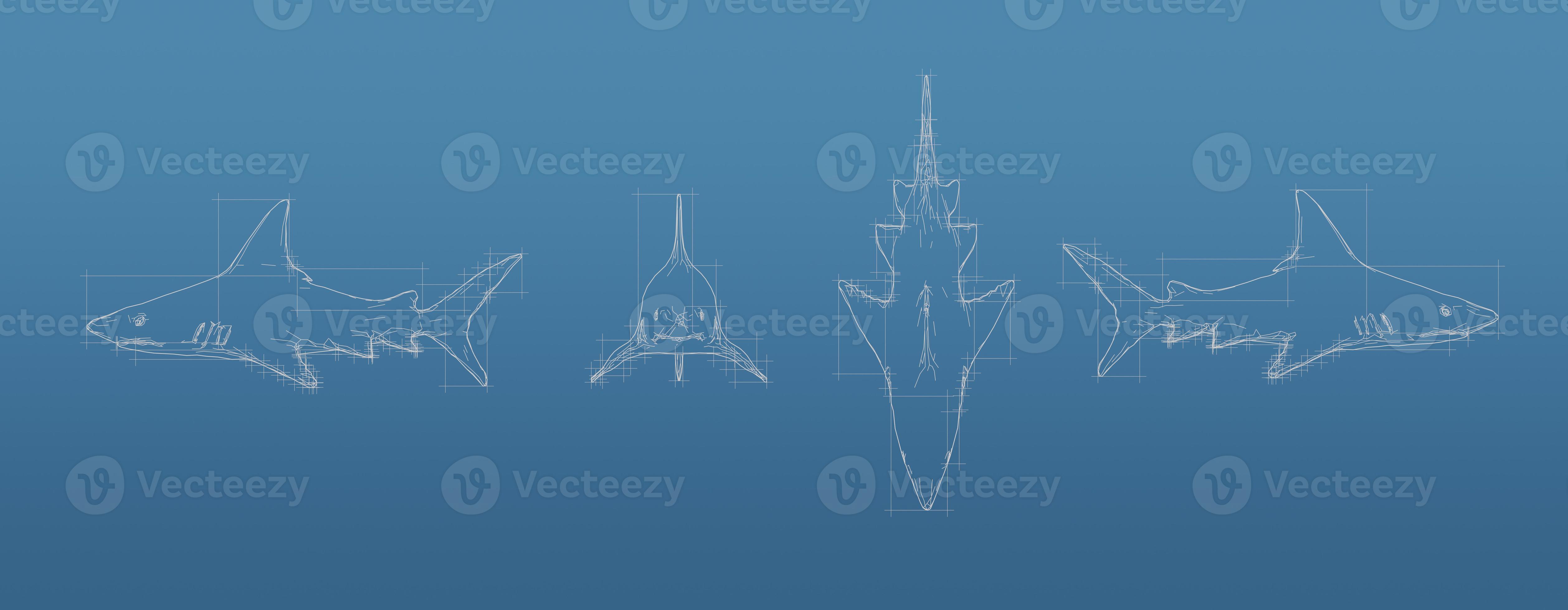 Shark 3d blueprint mesh model on a blue background. Front view orthographic and perspective free style render, 3d rendering 6781521 Stock Photo at Vecteezy Shark 3d blueprint mesh model on a blue background. Front view orthographic and perspective free style render, 3d rendering 6781521 Stock Photo at Vecteezy