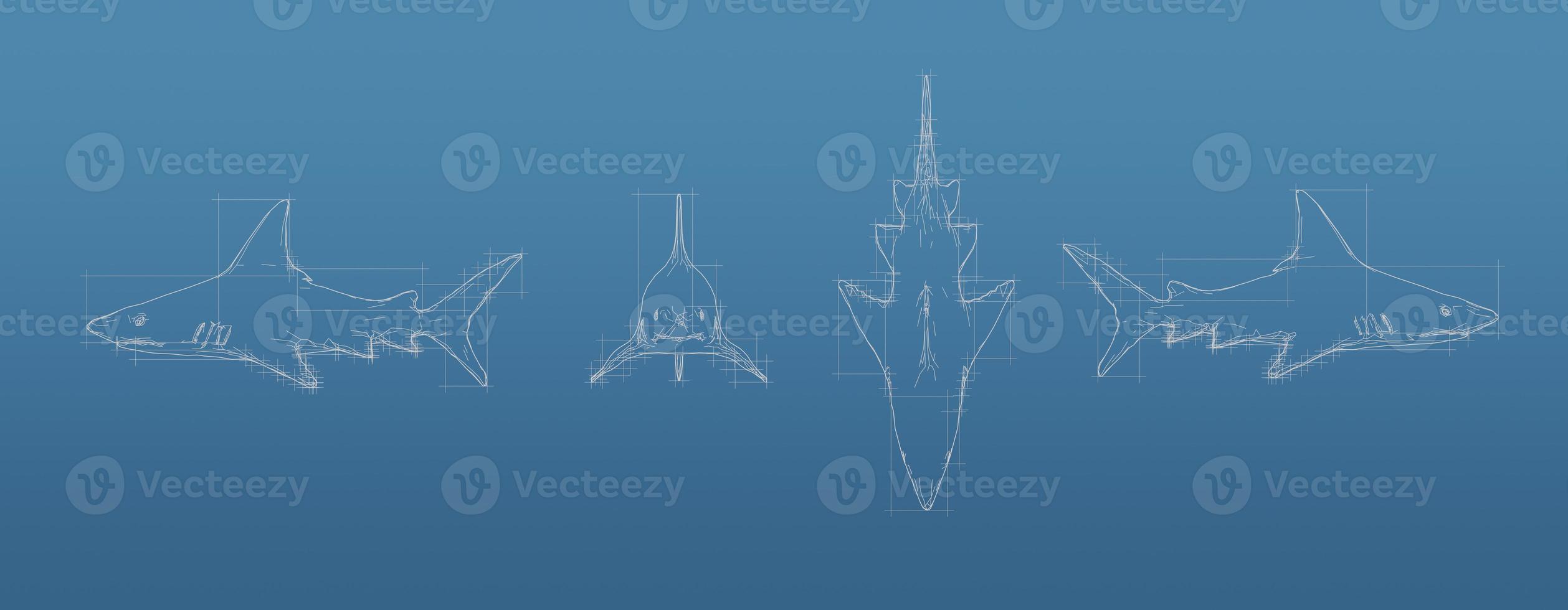 Shark 3d blueprint mesh model on a blue background. Front view orthographic  and perspective free style render, 3d rendering 6781521 Stock Photo at  Vecteezy