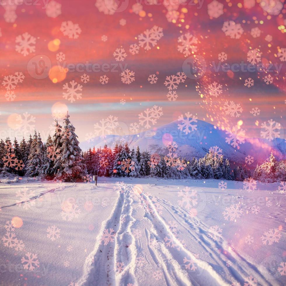 winter road. Beautiful color high-res illustration with a holida photo