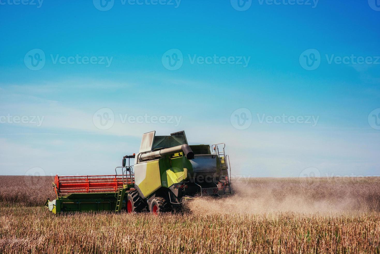 Working Harvesting Combine in the Field of Wheat photo