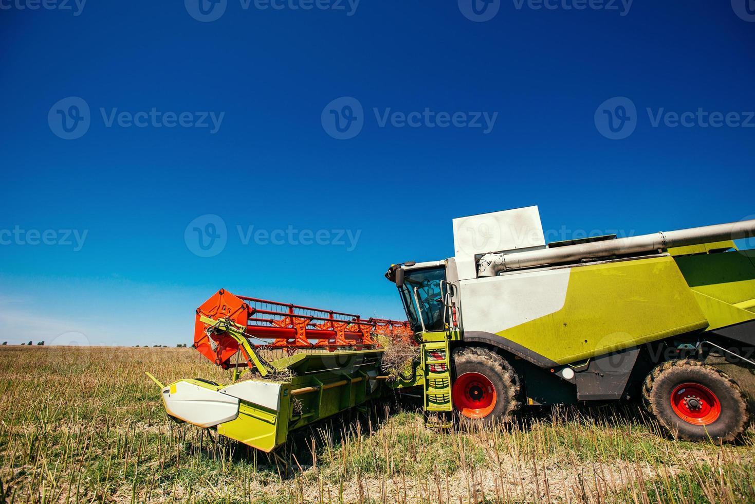 Working Harvesting Combine in the Field of Wheat photo