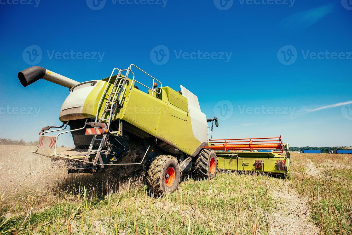 Working Harvesting Combine in the Field of Wheat photo